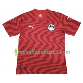 Jalkapallo Pelipaidat Egypti Kotipaita 2019 Lyhythihainen